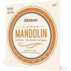 D'Addario Daddario Mandolin String Nickel Medium .011-.039 EJ67 [Domestic Genuine]