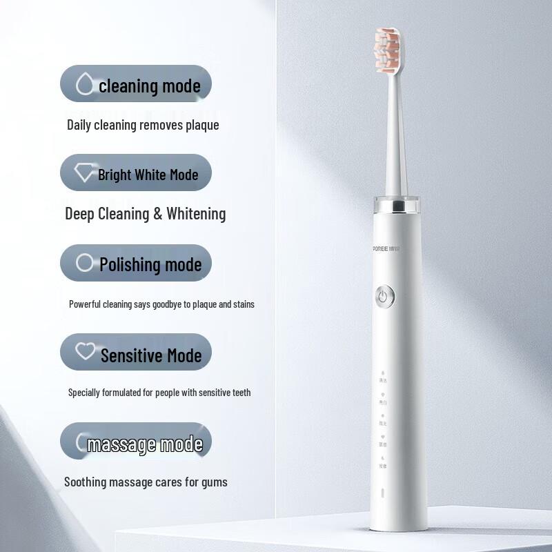 Flyco Borui Smart Sonic Electric Toothbrush