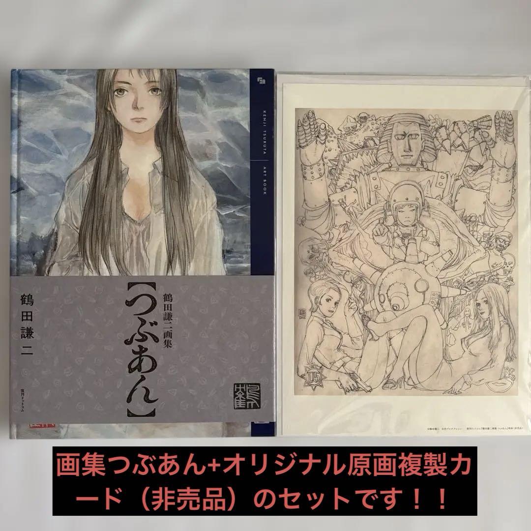 

[USED] Tsuruta Kenji Art Collection Tsubuan Original Artwork Reproduction Card Set (A4 size equivalent, not for sale)