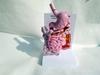 Human Digestive System Model: Large Intestine, Rectum, Duodenum, Stomach & Intestines Anatomical Structure
