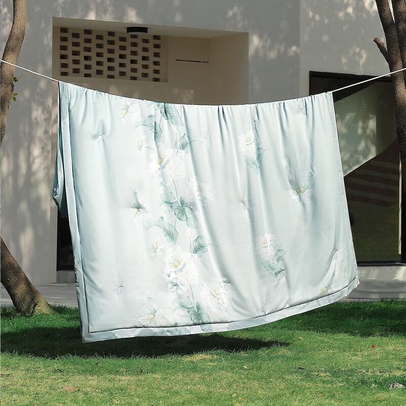 Mercury Home Textiles Washable Mulberry Silk Summer Quilt with Lyocell Cover