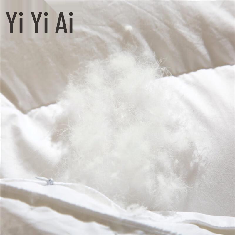 Yiyiai White Goose Down Winter Duvet