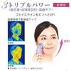 Ebisu Cosmetics (EBiS) Ultrasonic Facial Beauty Device Twin Elenaizer Premium Home Beauty Set