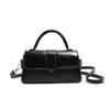 French Niche Popular Small Bag 2025 Autumn New Small Square Bag Trendy Versatile Women's Bag Shoulder Messenger Bag Women's Bag