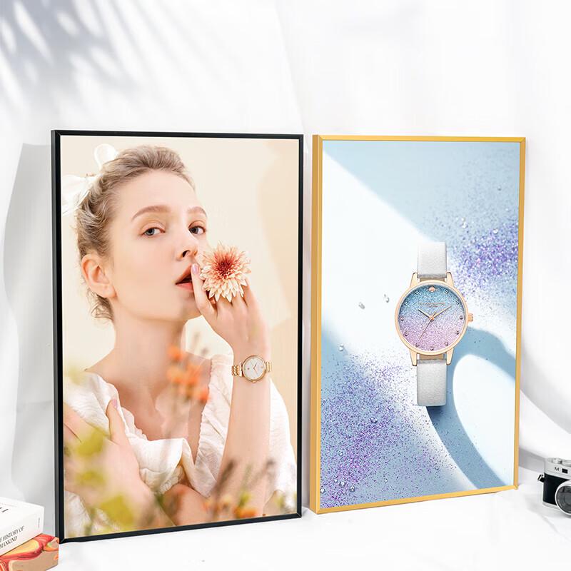 Magnetic Aluminum Alloy Poster Frame