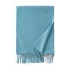 Imitation Cashmere Scarf with Wool Tassel Scarf for Men and Women Versatile Solid Color Fashion Commuting Warm Scarf Shawl