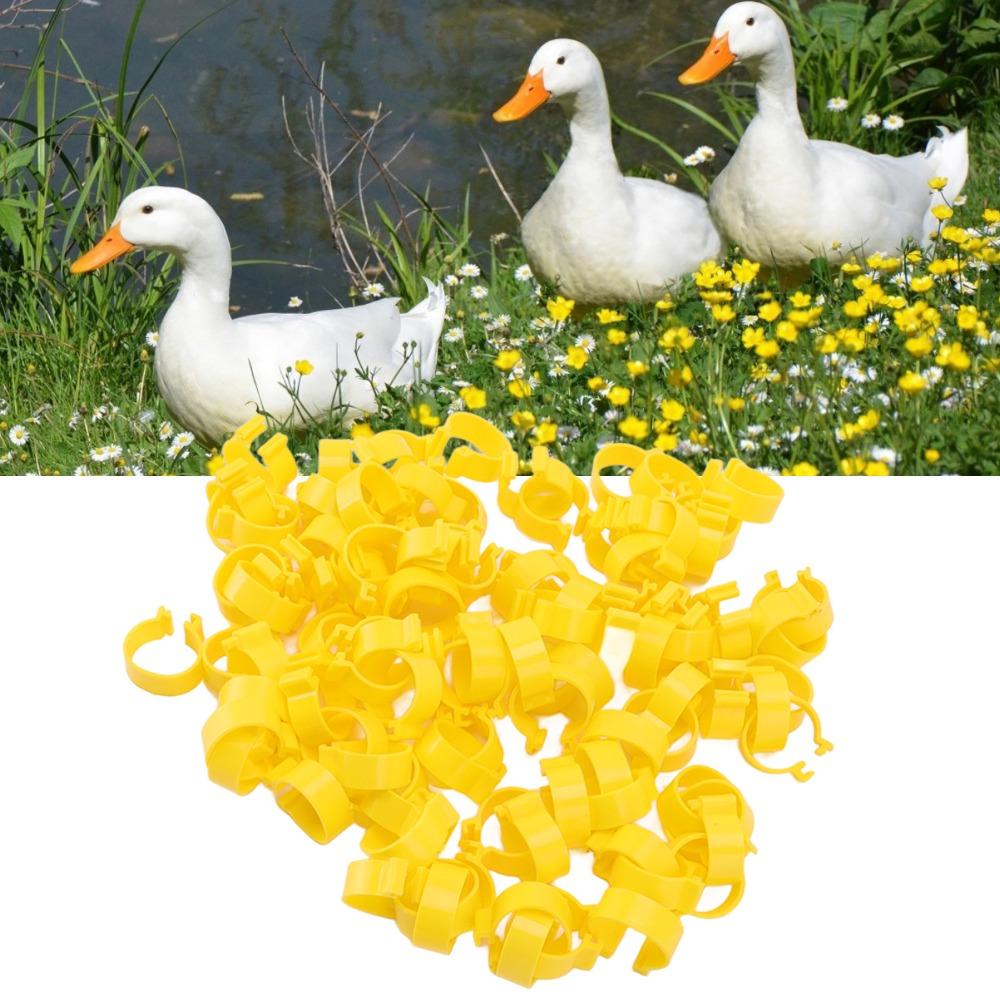 100Pcs Plastic Chicken Ankle Rings Yellow Poultry Feet Rings Geese Leg Rings For Breeding Ducks
