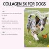 Kriath Honden Collageen Druppels, Milde Formule, Gewrichts-, Vacht- en Huidverzorging voor Honden, Voedingssupplement 60ml