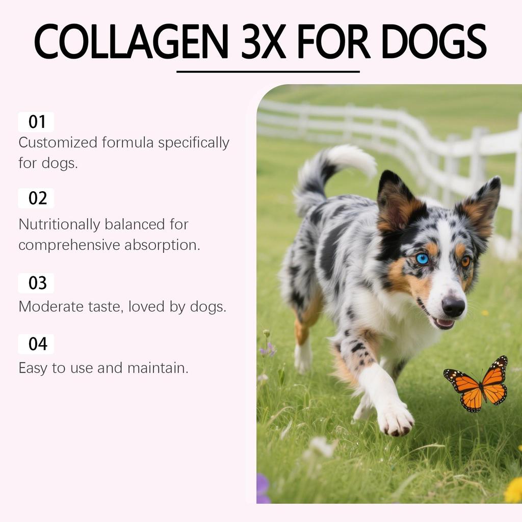 Kriath Honden Collageen Druppels, Milde Formule, Gewrichts-, Vacht- en Huidverzorging voor Honden, Voedingssupplement 60ml