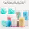 300/Pcs Toothpick Brush Plastic Toothpick Double Head Disposable Household Interdental Brush Teeth Picking Dental Floss