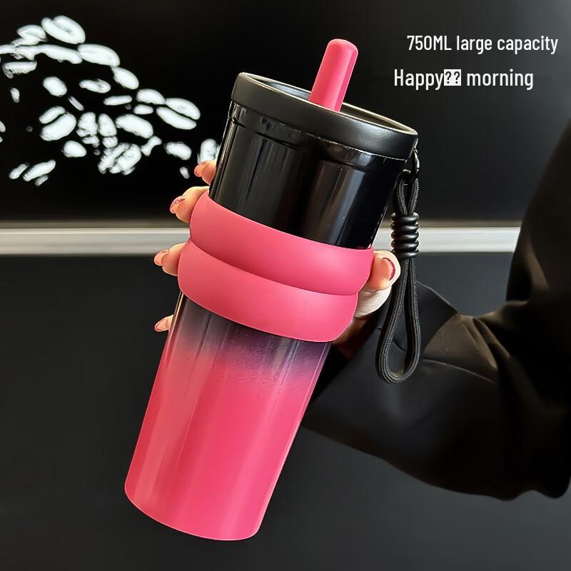 OLOEY 316 Stainless Steel Gradient Insulated Tumbler