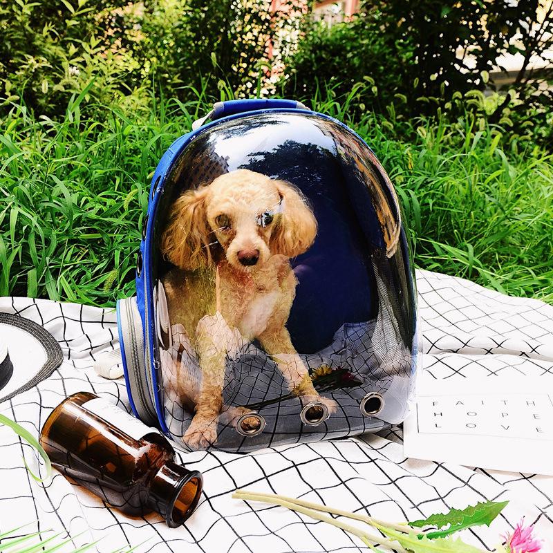 Transparent Double Shoulder Cat Backpack - Lightweight, Breathable & Panoramic Pet Bag for Outings