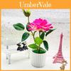 Artificial Rose Flower Bonsai With Silk Material For Home Decor And Wedding Centerpieces