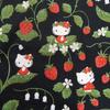 Noren Kobo Cafe Curtain Hello Kitty Embroidered Strawberry 120cm X 45cm Small Window Privacy Screen 93549 (W) (L)