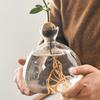 Avocado Seed Starters Vase Avocado Vase for Growing Avocado Seed Growing Kit Plant Glass with Stickers Gift for Gardening Lovers