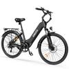 ESKUTE C202 Elektrisches Citybike, 250W Motor, 48V 17.5Ah Abnehmbarer Akku