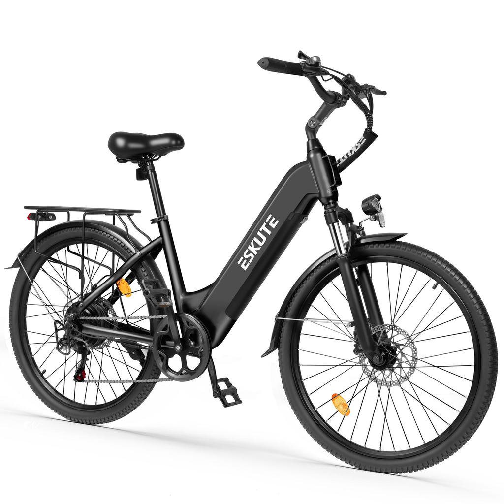 ESKUTE C202 Elektrisches Citybike, 250W Motor, 48V 17.5Ah Abnehmbarer Akku