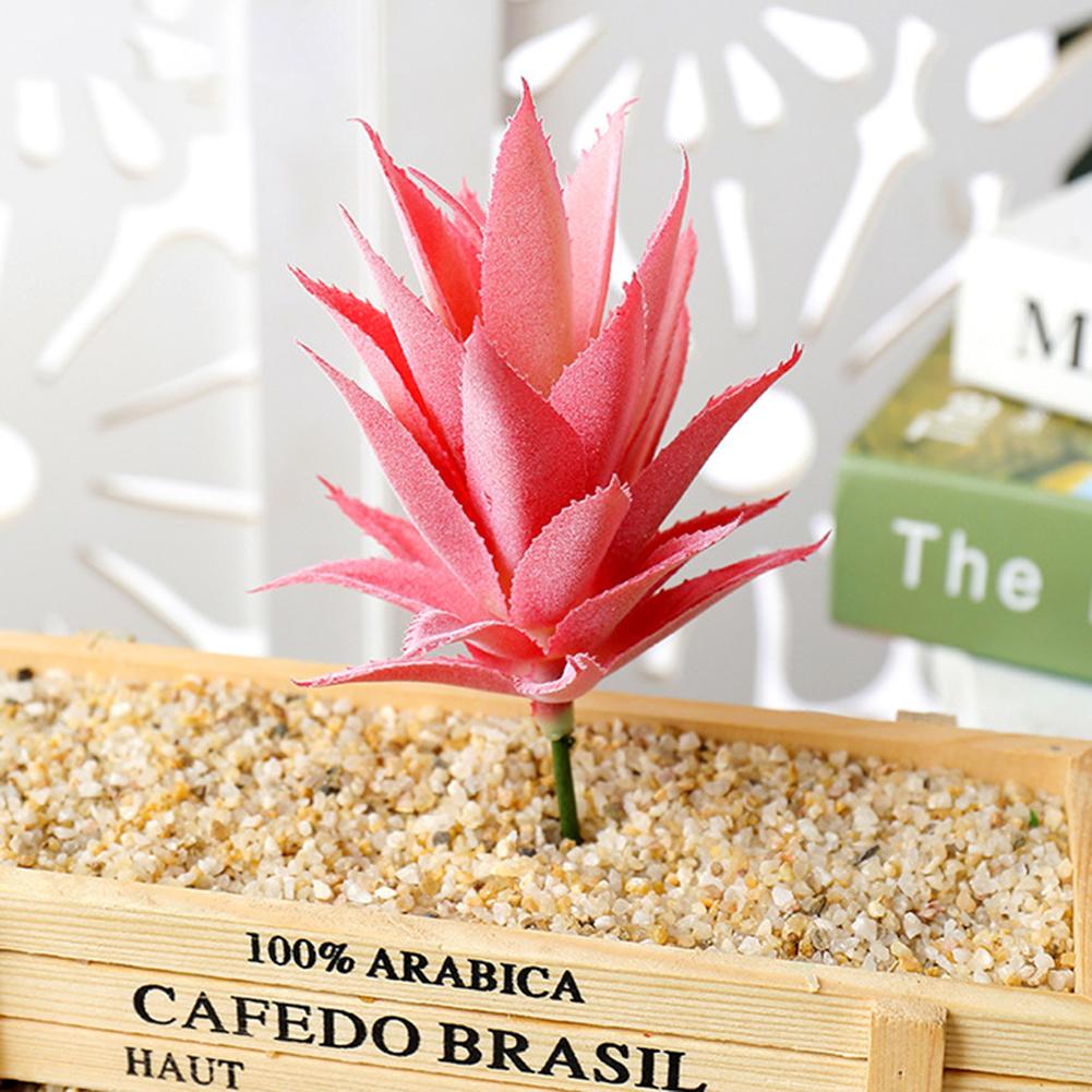 

Кактус Лотос Искусственный Сочный Орнамент Сочный Пейзаж