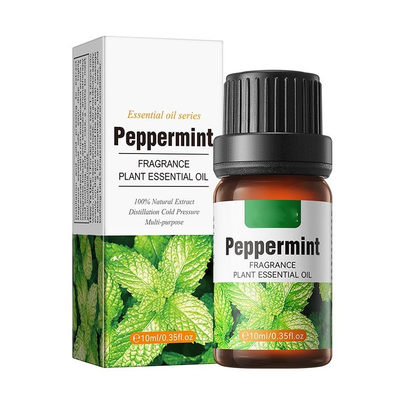 Plant Essential Oil Set 10ml Each Natural Fragrance Therapy Aromatherapy Body Oil Spa Massage Gift Set Export Wholesale