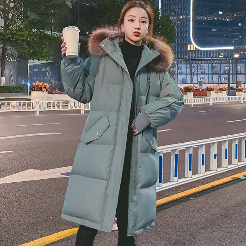 green teddy bear jacket