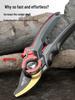 Delixi Electric Pruning Shears for Garden, Branches, Flowers, and Trees