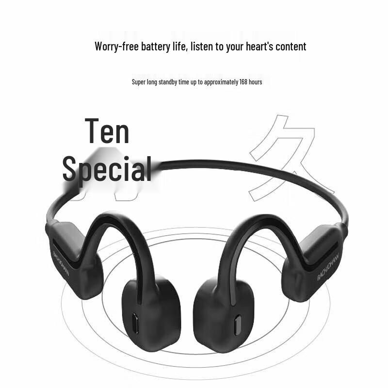 Bach Johann S110 IPX8 Waterproof Bone Conduction Sports Headphones