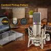 U87 AI XLR Kondenzátorový Mikrofon Profesionální Kardioidní Studio Mikrofon pro Nahrávání Podcasting Voice Over Streamování Domácí Studio