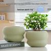 Nordic Style White Ceramic Succulent Pot with Four Compartments