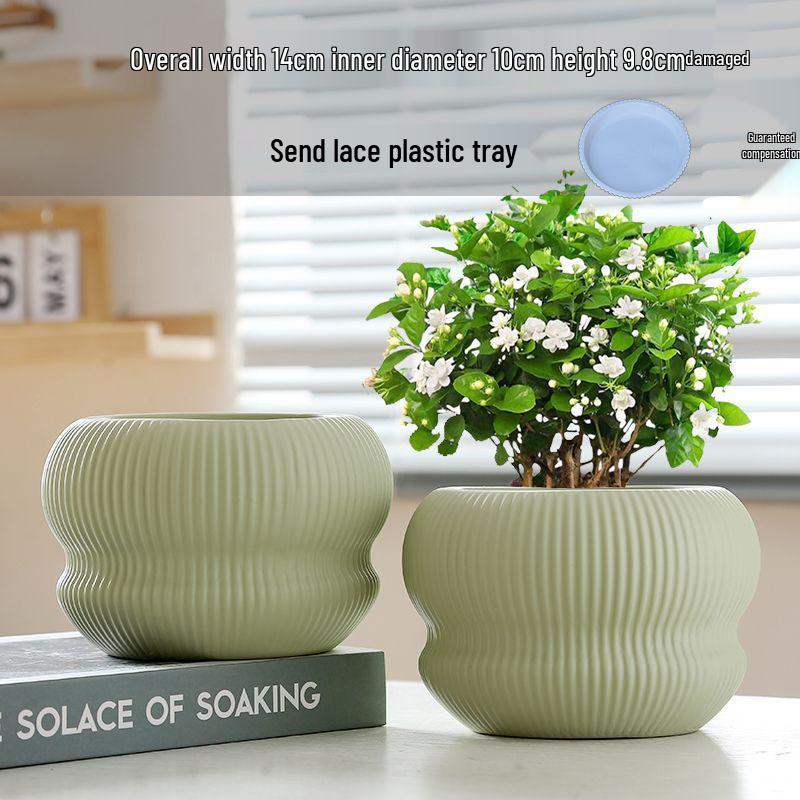 Nordic Style White Ceramic Succulent Pot with Four Compartments