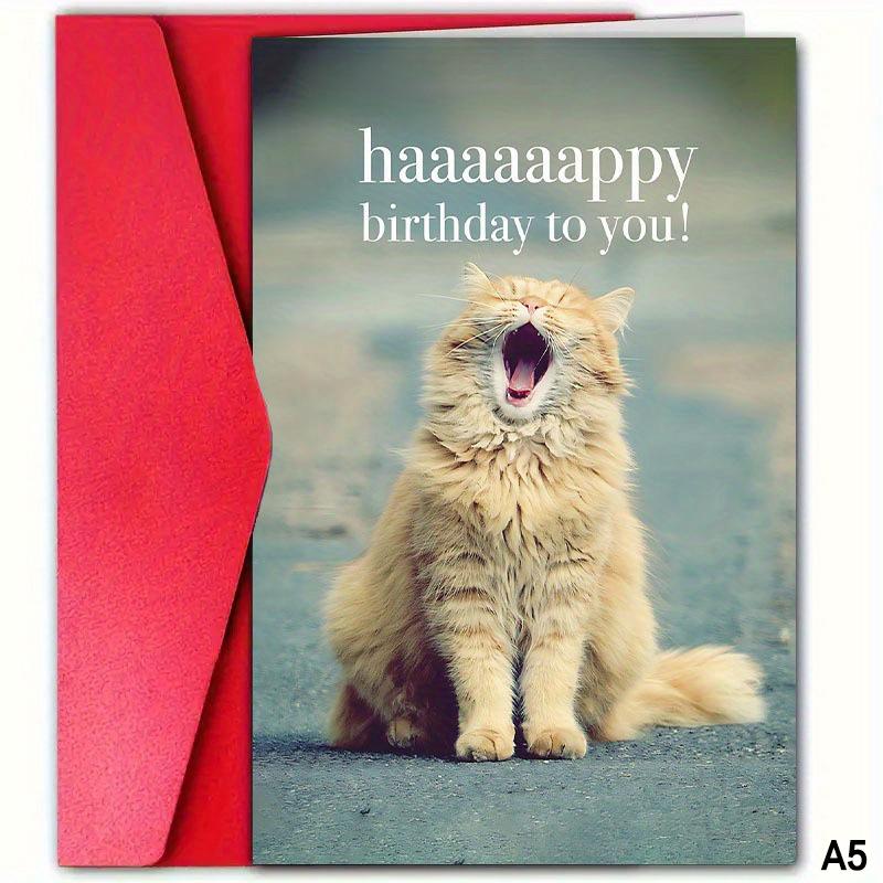

Cute Funny Cat Birthday Greeting Card with Envelope Unique Valentine s Day Invitation Perfect Gift for Teachers Parents Friends