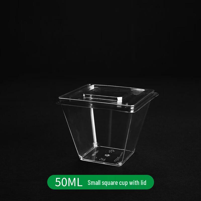 Disposable Plastic Dessert Cups & Dishes