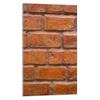 GLAS-SCHNEIDEBRETT 30x52 Ziegel