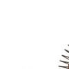 Generator Carbon Brushes 1pcs for Coleman For Powermate Compatible with PM1111111 PM1111111 1111119 for Motor Functionality