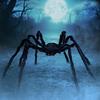 Halloween Plush Spider Web Decor for Indoor/Outdoor Horror Scene