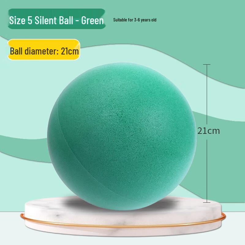 Dairien Silent Training Basketball