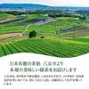 Yame Tea Fukuoka Prefecture Deep Steamed Sencha Green First Harvest 100 Flush Special Premium 100g 88th Night (3 bags)