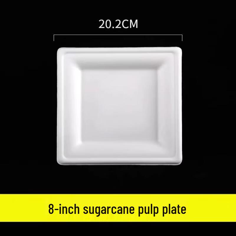 

Disposable Paper Plates