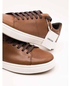 Кроссовки Geox Baltmoore brown/white