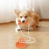 Bite-Resistant Dog Suction Cup Toys Wear-Resistant Pet Interactive Toy  Interactive