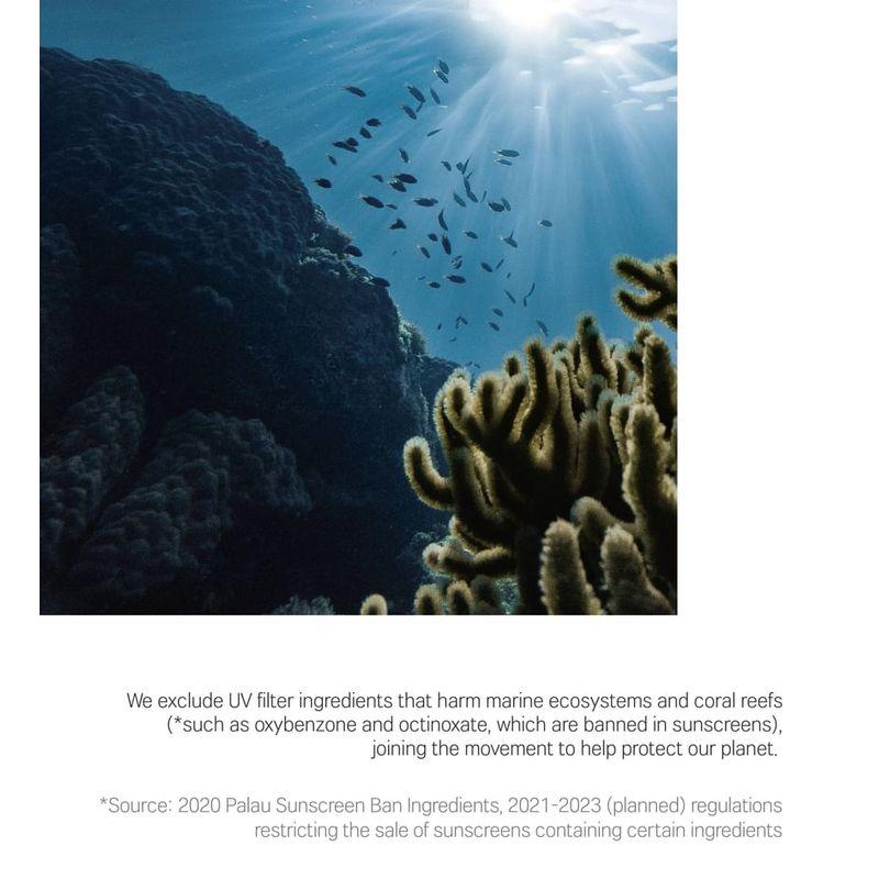 ROUND LAB Pine Calming Cica Airy Sun Stick