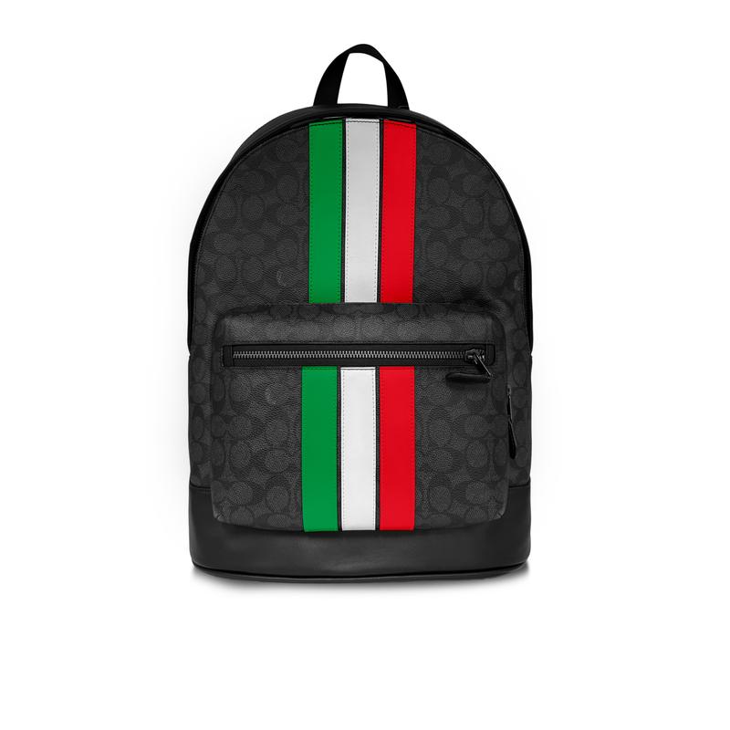 

COACH backpack [Customized bag] West 32 hand-painted color-changing graffiti, simple and high-end, fashionable Lafa basic package (bag + dust bag) коричневий