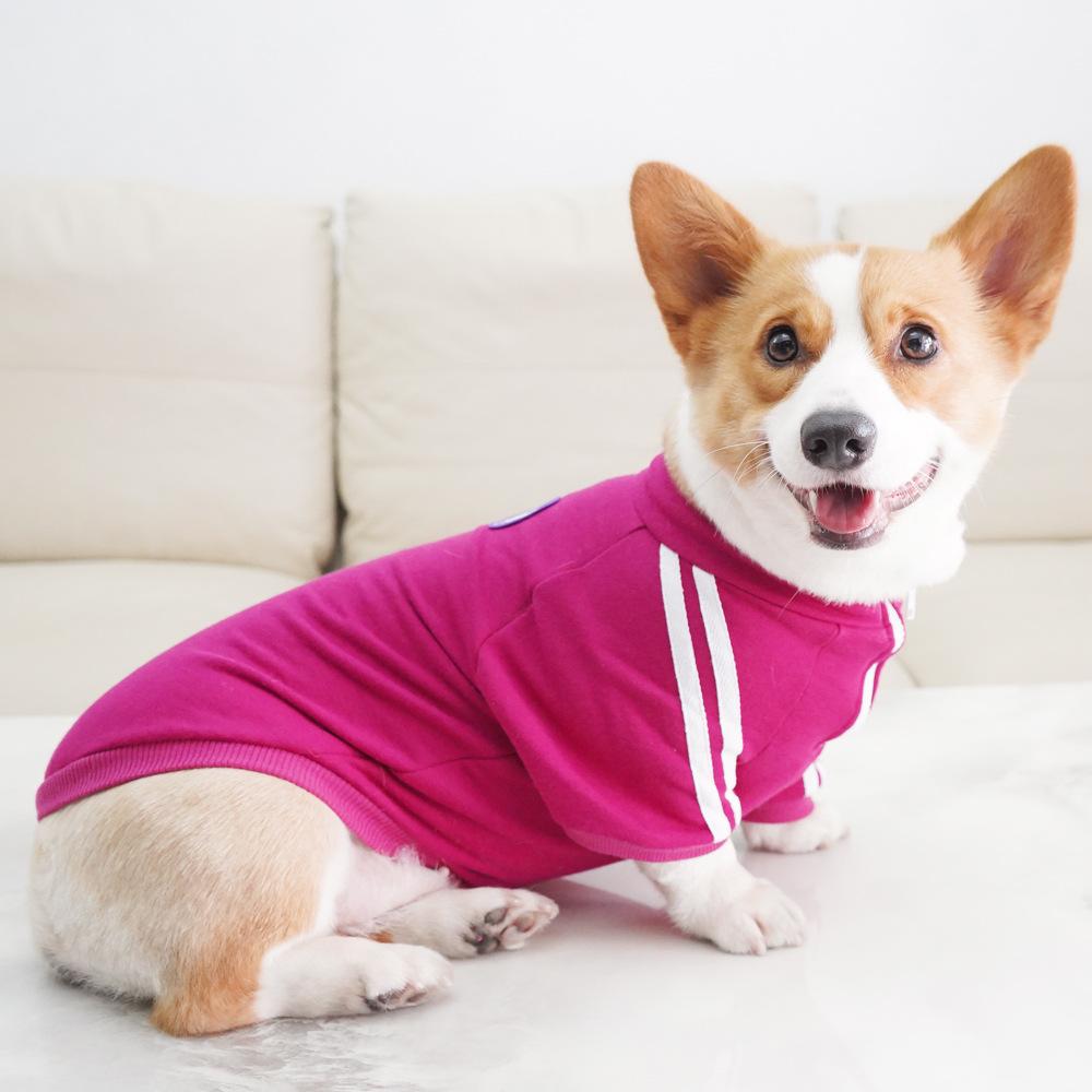 Pet it casual retro puppy clothes sports trendy brand pet sweater small dog Corgi Bichon Shiba Inu clothing