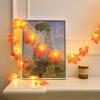 OEING Autumn Leaves & Pumpkin USB String Lights
