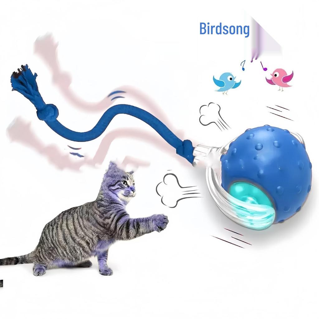 Plush Squeaky Dog & Cat Chew Toys - Durable Teething Pet Supplies