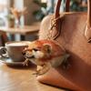 Built-in Sound Device Warrior Shield Plush Doll Keychain Talking Bag Pendant  Key Decoration