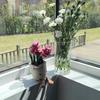 Jellycat Style Plush Flower Pot Toy Tulip Orchid Hyacinth Narcissus Cute Soft Doll Gift