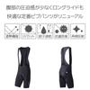 Pearl Izumi Cold Shade Bib Size L Pants, Black,