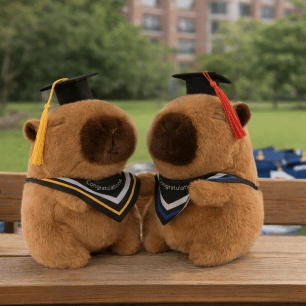 25 CM Cute Stuffed Animal Cartoon Design Doctor Hat Capybara  Gift Giving