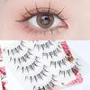 Lashie - Set of 5 Pairs: Natural Wispy False Eyelashes