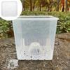 Square Clear Flower Pots Ventilated Drainage Holes with Trays Breathable Seedling Cups Thickened Plastic Root Control Pot